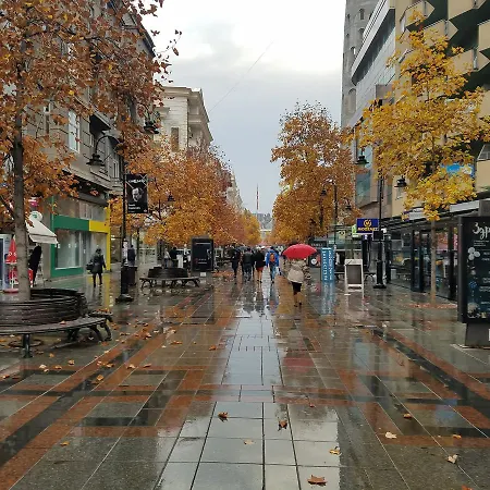 Sirma's Unique Artsy Modern Quiet 1-bdrm In The Heart Of *