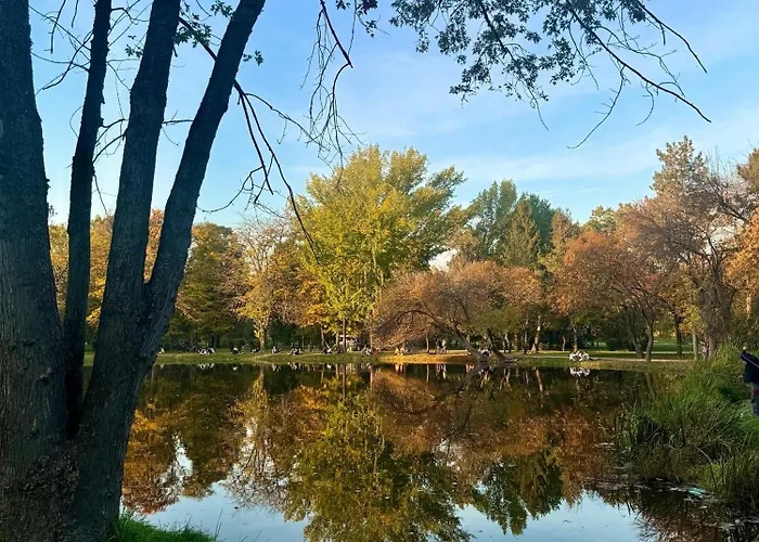 Sirma's Unique Artsy Modern Quiet 1-bdrm In The Heart Of Daire *