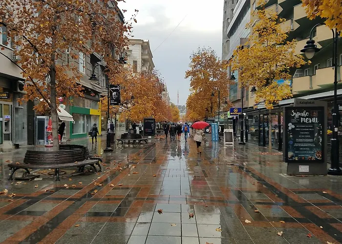 Sirma's Unique Artsy Modern Quiet 1-bdrm In The Heart Of *